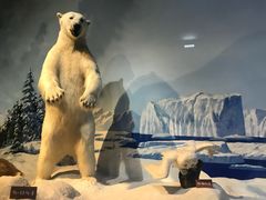 -陕西自然博物馆