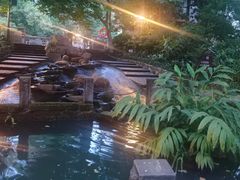 -成都市活水公园