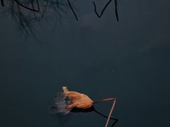 -威海大乳山景区