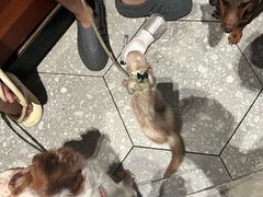 -阿嬷手作(成都万象城店)