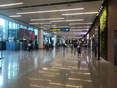 -麦当劳(桃仙机场到达层店)