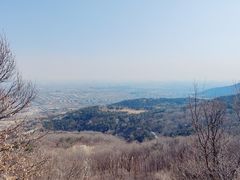 -北京西山国家森林公园