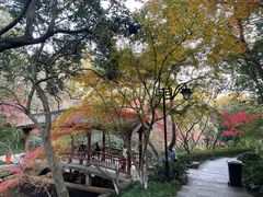 -杭州半山国家森林公园