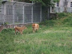 -西安秦岭野生动物园