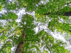 -南京金牛湖风景区