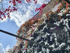 -宋大妈·怡得饭庄·昆明菜(海埂店)