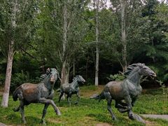 -元大都城垣遗址公园