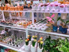 -KKV(上海月星环球港店)