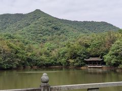 -杭州半山国家森林公园