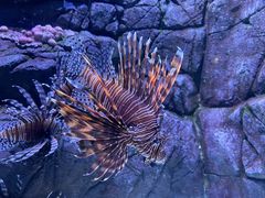 -成都浩海立方海洋公园