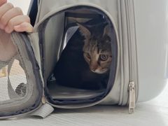 -宠颐生·恒爱宠物医院(静海店)