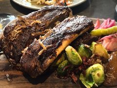 -Apollo·西班牙小酒馆(安福路店)