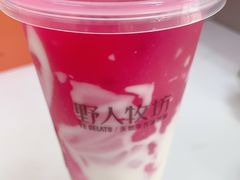 -野人先生现做冰淇淋(北京顺义祥云小镇店)