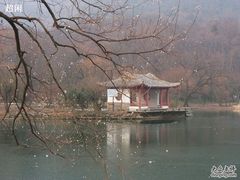 -紫霞湖公园