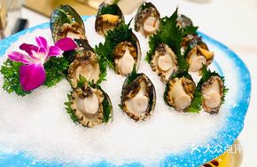 5-Head Abalone