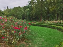 -昆山城市生态森林公园