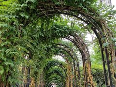 -海兰云天度假区温泉