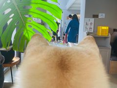 -小意思咖啡店(草桥店)