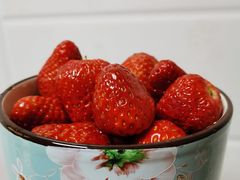 -昌平兴寿秀秀草莓采摘园