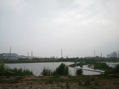 -永定河休闲森林公园