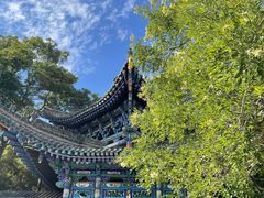 -白塔山公园