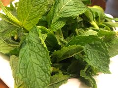 -芦苇荡·酸汤鱼(回龙观店)