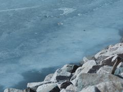 -长春净月潭风景名胜区