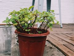 -UPUPKAFE  立咖啡(浏城桥店)