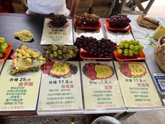 -马陆小张葡萄园农家乐