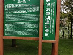 -泗洪洪泽湖湿地景区