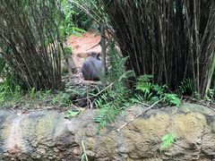-河川生态园