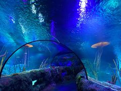 -沈阳海洋探索中心