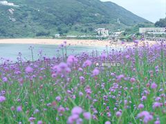 -南麂列岛