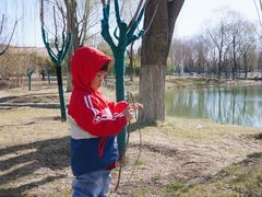 -大兴滨河森林公园