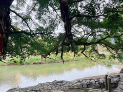 -云水谣景区