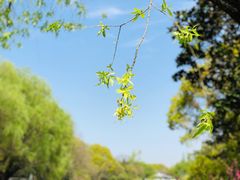 -狼山风景名胜区