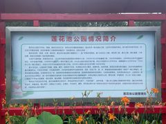 -莲花池公园