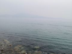 -杨梅坑