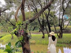 -人民公园(罗湖区)