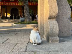 -西园戒幢律寺