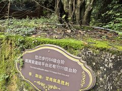 -苍山感通索道