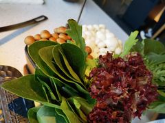 -新辣道鱼火锅(西直门店)