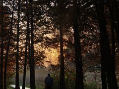 -溱湖国家湿地公园