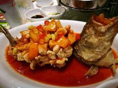 -新兴·金羊座·粤菜点心(乐峰店)