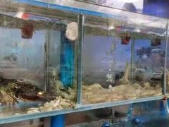 -富临港·蒸汽海鲜·手抓海鲜·炒菜(栈桥店)