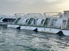 -仙岛湖旅游风景区
