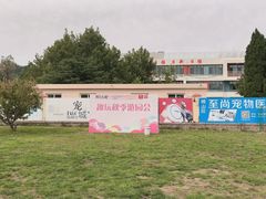 -趣玩宠物乐园寄养训犬训狗游泳池