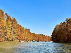 -上海海湾国家森林公园