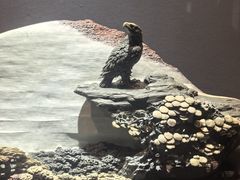 -青田石雕博物馆