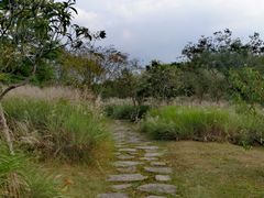 -梁鸿国家湿地公园